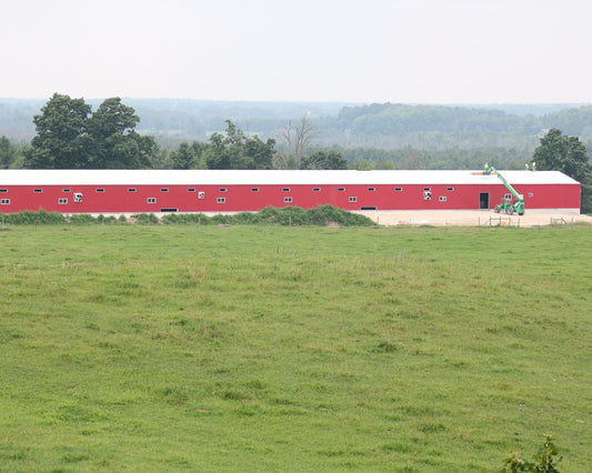 The Girls are Home: A Look Inside Our New 20,000-Hen Expansion