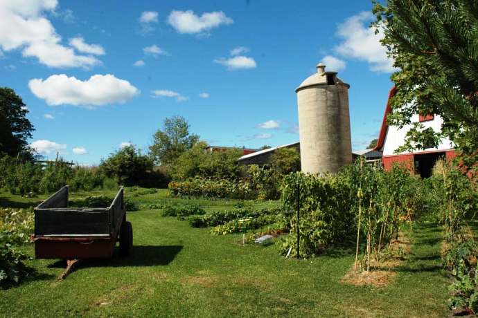 Organic Farm Tour