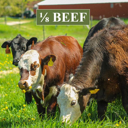 1/8 Beef Share – Grass‑Fed Beef | Waseda Farms
