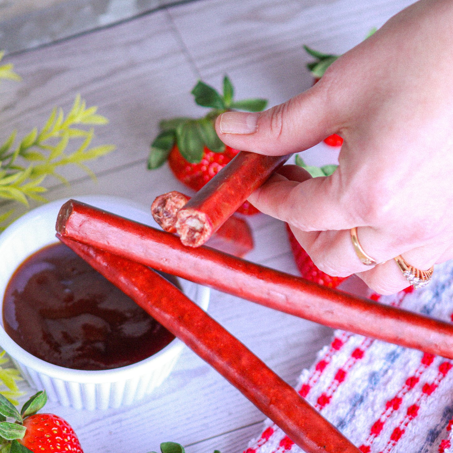 Honey BBQ Beef Sticks