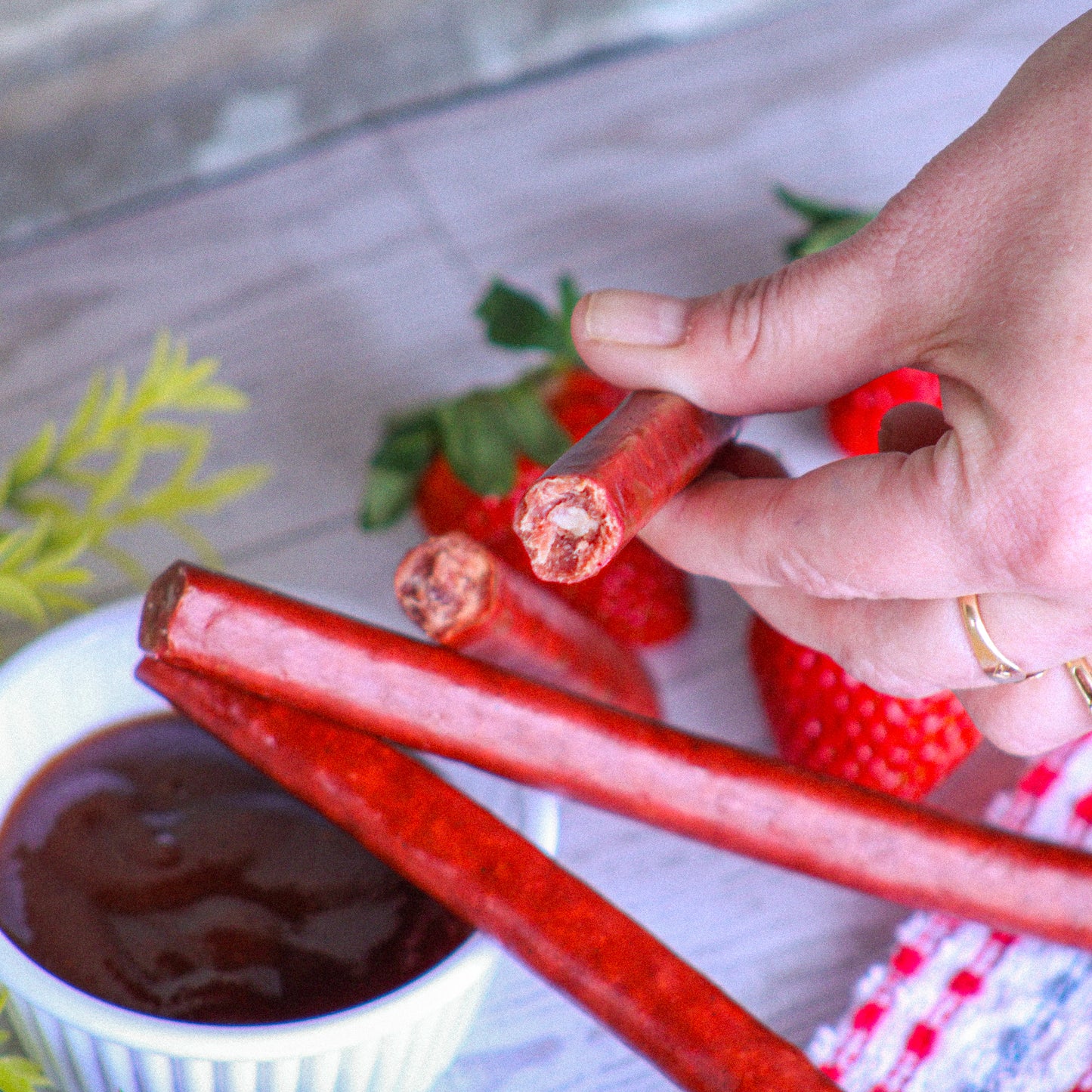 Honey BBQ Beef Sticks