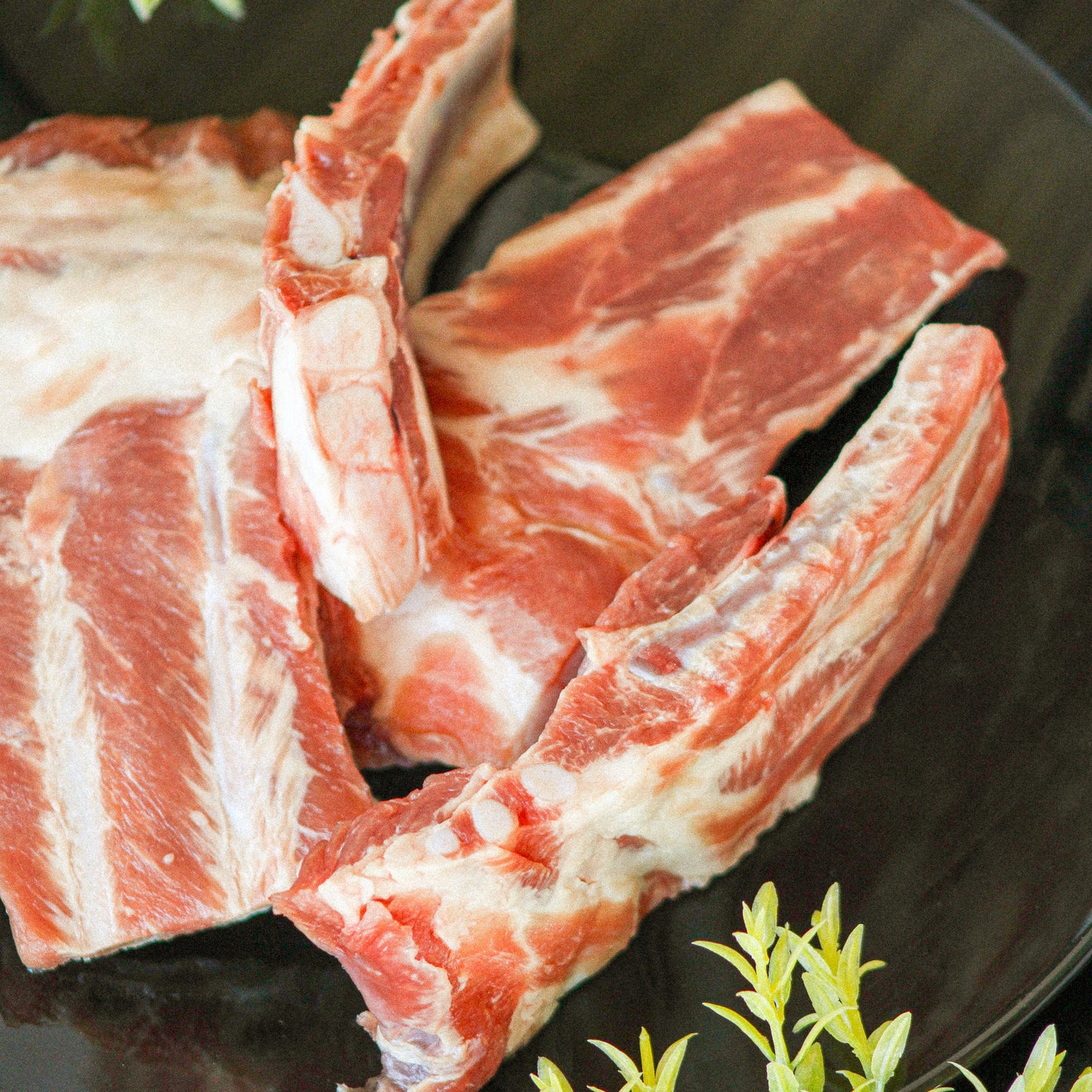 Pork Spare Ribs