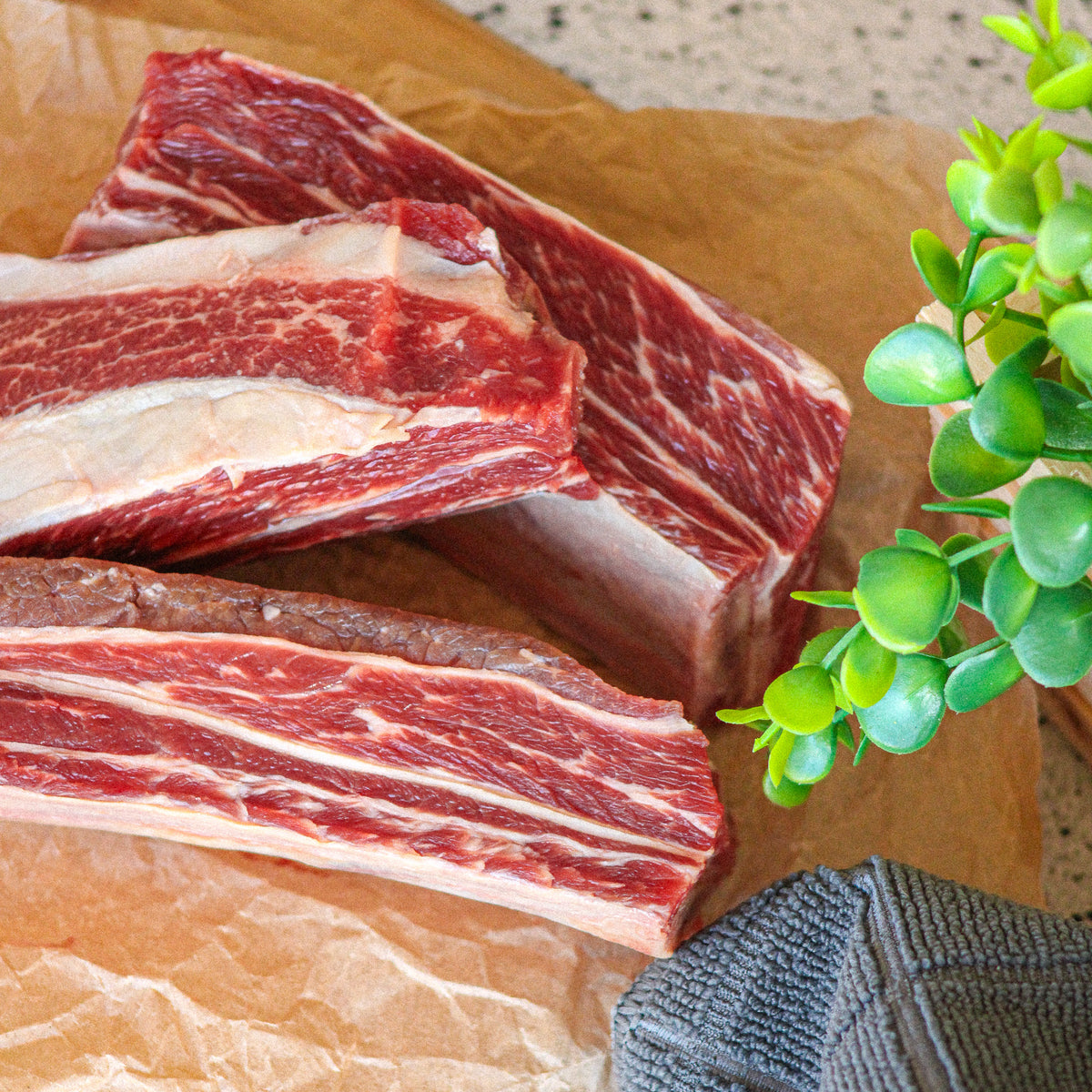 Close-up of marbled grass-fed beef short ribs – Waseda Farms