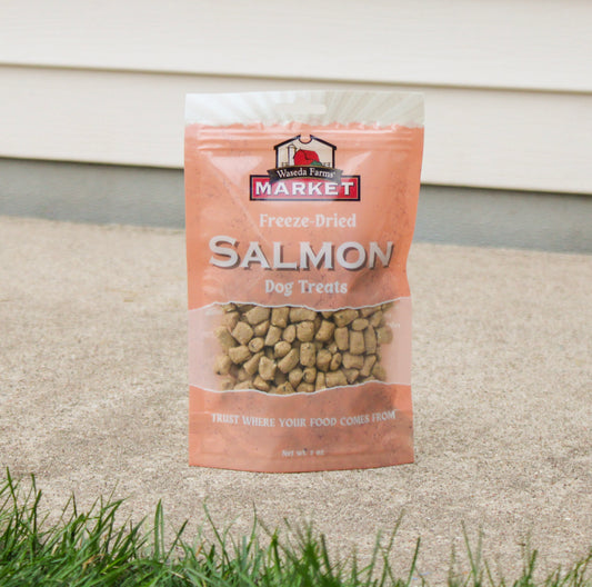 Freeze-Dried Salmon Nibs